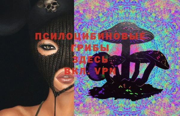 гашик Алзамай