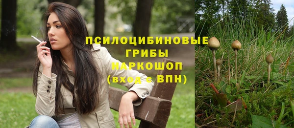 прущая мука Алексин