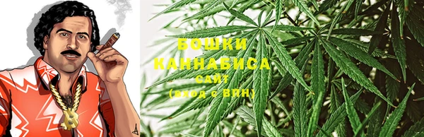 каннабис Аркадак