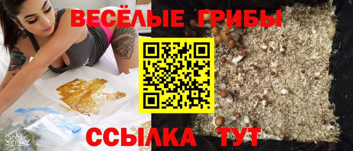 Обнинск  Галлюциногенные грибы мухоморы  Галлюциногенные грибы мицелий  Вход с VPN 